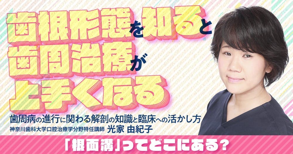 歯根形態を知ると歯周治療が上手くなる